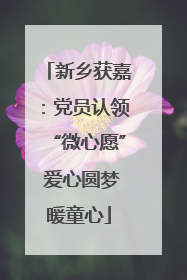 新乡获嘉：党员认领“微心愿” 爱心圆梦暖童心