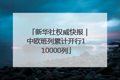 新华社权威快报｜中欧班列累计开行110000列