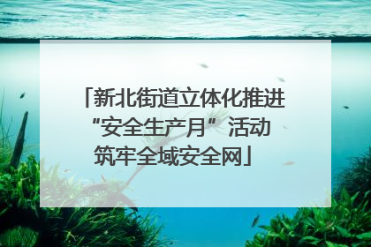 新北街道立体化推进“安全生产月”活动 筑牢全域安全网