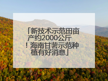新技术示范田亩产约2000公斤！海南甘薯示范种植有好消息