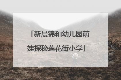 新晨锦和幼儿园萌娃探秘莲花街小学