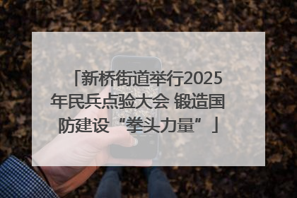 新桥街道举行2025年民兵点验大会 锻造国防建设“拳头力量”