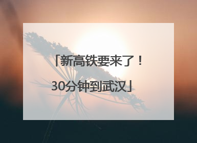 新高铁要来了！30分钟到武汉