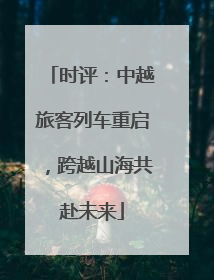 时评：中越旅客列车重启，跨越山海共赴未来
