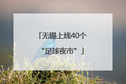无锡上线40个“足球夜市”