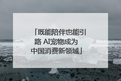 既能陪伴也能引路 AI宠物成为中国消费新领域