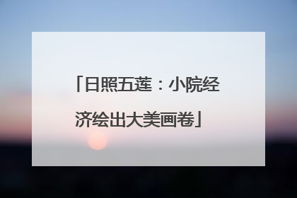 日照五莲：小院经济绘出大美画卷