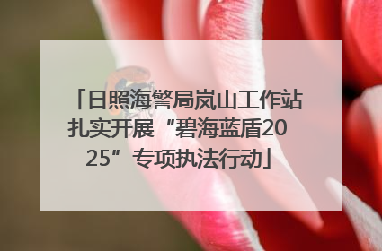 日照海警局岚山工作站扎实开展“碧海蓝盾2025”专项执法行动