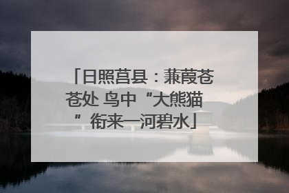 日照莒县：蒹葭苍苍处 鸟中“大熊猫”衔来一河碧水