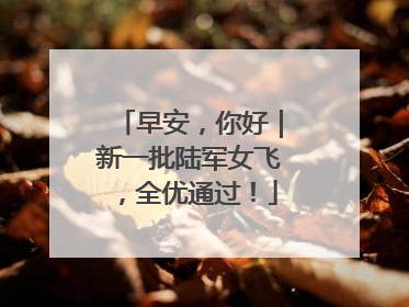 早安，你好｜新一批陆军女飞，全优通过！