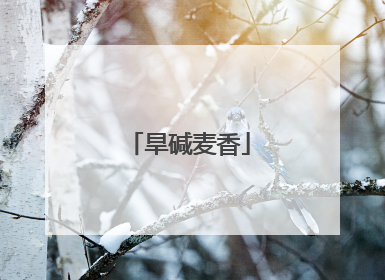 旱碱麦香