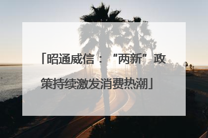 昭通威信：“两新”政策持续激发消费热潮