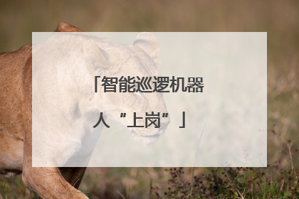 智能巡逻机器人“上岗”