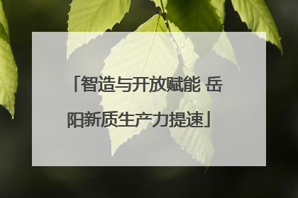 智造与开放赋能 岳阳新质生产力提速