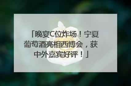 晚宴C位炸场！宁夏葡萄酒亮相西博会，获中外嘉宾好评！