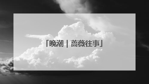 晚潮｜蔷薇往事