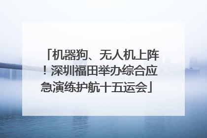 机器狗、无人机上阵！深圳福田举办综合应急演练护航十五运会