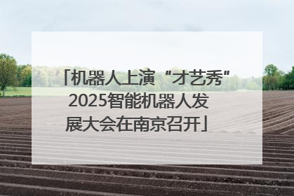 机器人上演“才艺秀” 2025智能机器人发展大会在南京召开
