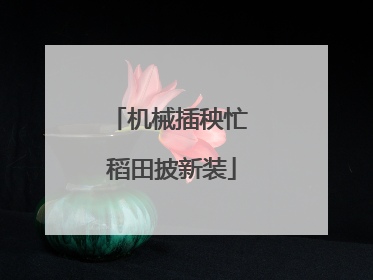 机械插秧忙 稻田披新装