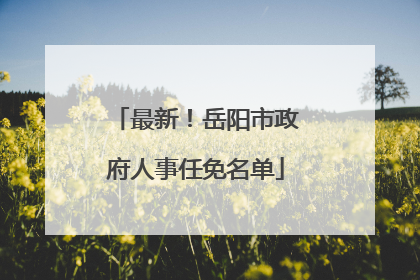 最新！岳阳市政府人事任免名单