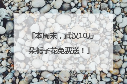 本周末，武汉10万朵栀子花免费送！