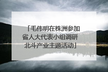 毛伟明在株洲参加省人大代表小组调研北斗产业主题活动