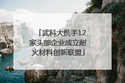 武科大携手12家头部企业成立耐火材料创新联盟