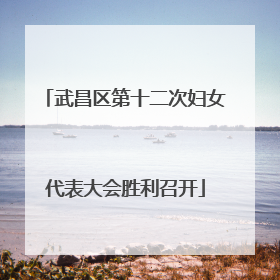 武昌区第十二次妇女代表大会胜利召开