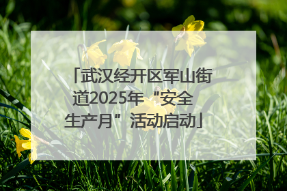 武汉经开区军山街道2025年“安全生产月”活动启动