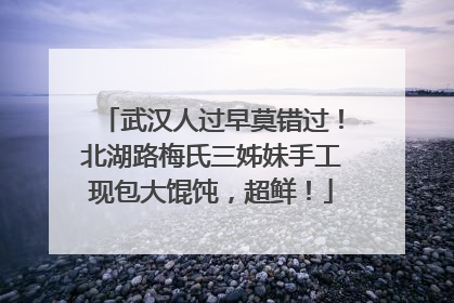 武汉人过早莫错过！北湖路梅氏三姊妹手工现包大馄饨，超鲜！