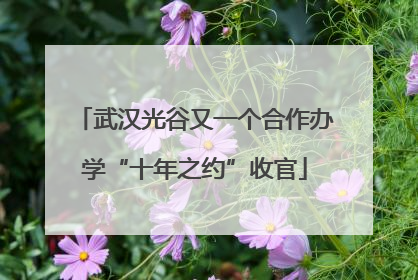 武汉光谷又一个合作办学“十年之约”收官