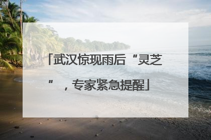 武汉惊现雨后“灵芝”，专家紧急提醒