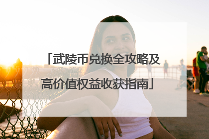 武陵币兑换全攻略及高价值权益收获指南