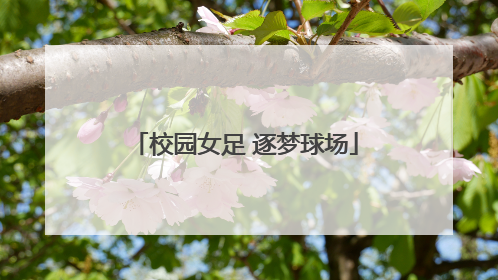 校园女足 逐梦球场