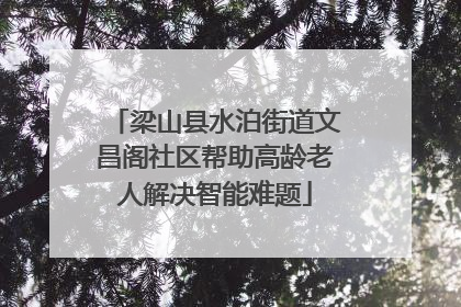 梁山县水泊街道文昌阁社区帮助高龄老人解决智能难题