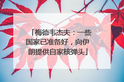 梅德韦杰夫：一些国家已准备好，向伊朗提供自家核弹头