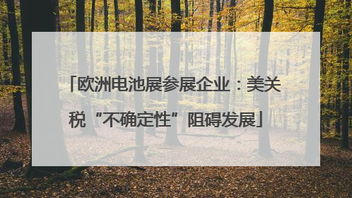 欧洲电池展参展企业：美关税“不确定性”阻碍发展