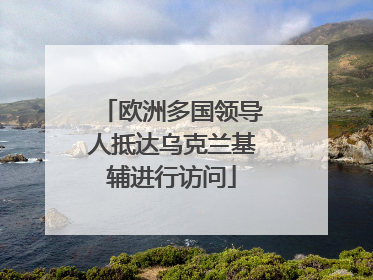 欧洲多国领导人抵达乌克兰基辅进行访问