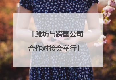 潍坊与跨国公司合作对接会举行