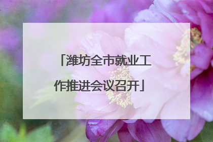 潍坊全市就业工作推进会议召开