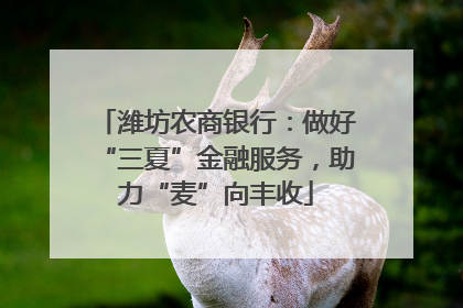 潍坊农商银行：做好“三夏”金融服务，助力“麦”向丰收