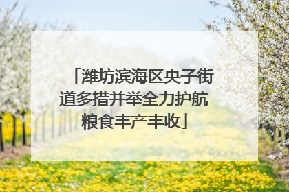 潍坊滨海区央子街道多措并举全力护航粮食丰产丰收