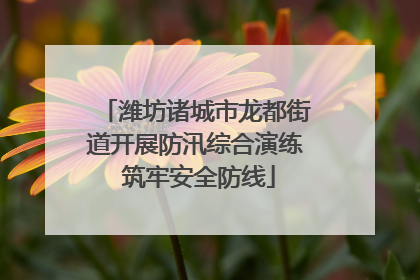 潍坊诸城市龙都街道开展防汛综合演练 筑牢安全防线