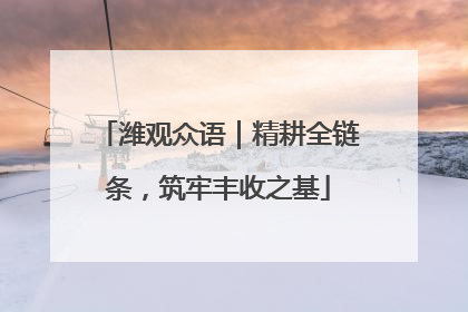 潍观众语｜精耕全链条，筑牢丰收之基