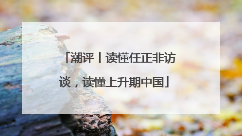 潮评丨读懂任正非访谈，读懂上升期中国