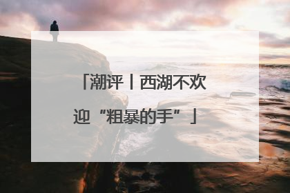 潮评丨西湖不欢迎“粗暴的手”