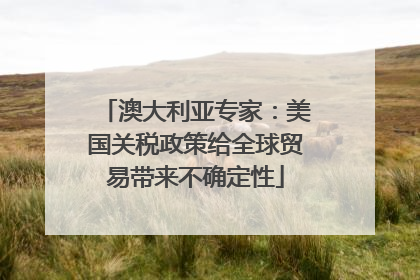澳大利亚专家：美国关税政策给全球贸易带来不确定性