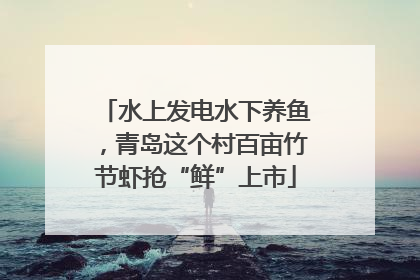 水上发电水下养鱼，青岛这个村百亩竹节虾抢“鲜”上市