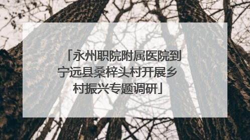 永州职院附属医院到宁远县桑梓头村开展乡村振兴专题调研