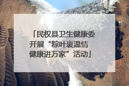 民权县卫生健康委开展“粽叶裹温情 健康进万家”活动